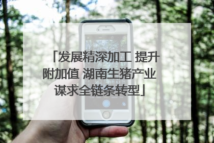 发展精深加工 提升附加值 湖南生猪产业谋求全链条转型