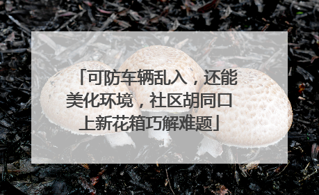 可防车辆乱入，还能美化环境，社区胡同口上新花箱巧解难题
