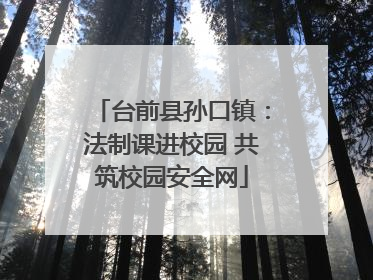 台前县孙口镇：法制课进校园 共筑校园安全网