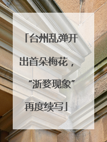 台州乱弹开出首朵梅花，“浙婺现象”再度续写