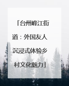 台州峰江街道：外国友人沉浸式体验乡村文化魅力
