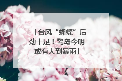 台风“蝴蝶”后劲十足！鹭岛今明或有大到暴雨