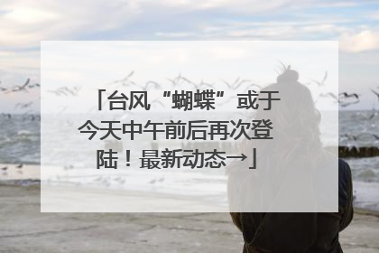 台风“蝴蝶”或于今天中午前后再次登陆！最新动态→