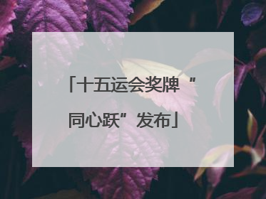 十五运会奖牌“同心跃”发布