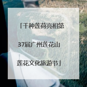 千种莲荷亮相第37届广州莲花山莲花文化旅游节