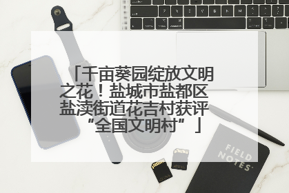 千亩葵园绽放文明之花！盐城市盐都区盐渎街道花吉村获评“全国文明村”