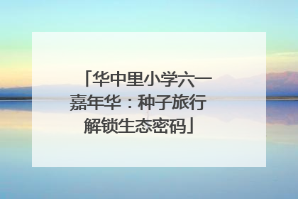 华中里小学六一嘉年华：种子旅行解锁生态密码
