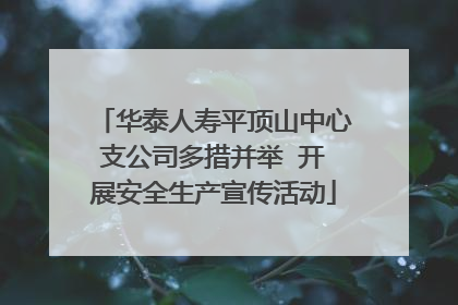 华泰人寿平顶山中心支公司多措并举  开展安全生产宣传活动