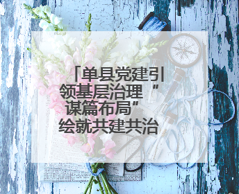 单县党建引领基层治理“谋篇布局” 绘就共建共治共享新图景