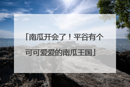 南瓜开会了！平谷有个可可爱爱的南瓜王国