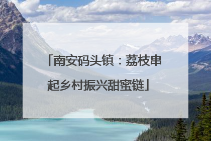 南安码头镇：荔枝串起乡村振兴甜蜜链