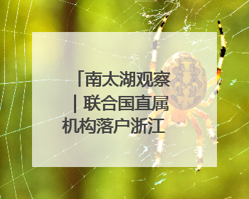 南太湖观察｜联合国直属机构落户浙江县城三年间