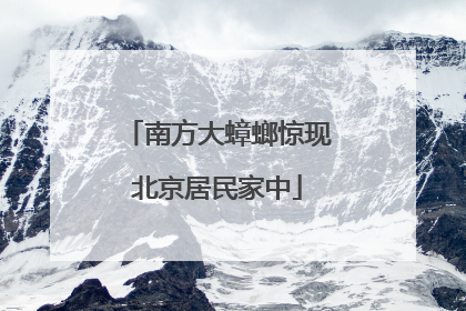 南方大蟑螂惊现北京居民家中