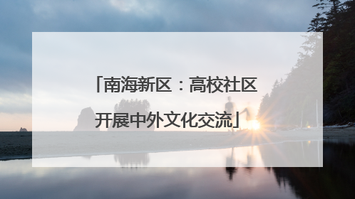 南海新区：高校社区开展中外文化交流