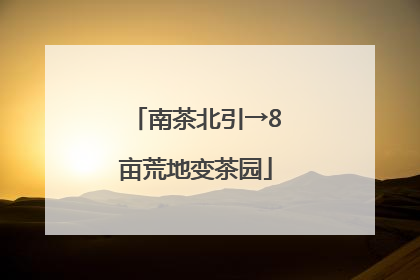 南茶北引→8亩荒地变茶园