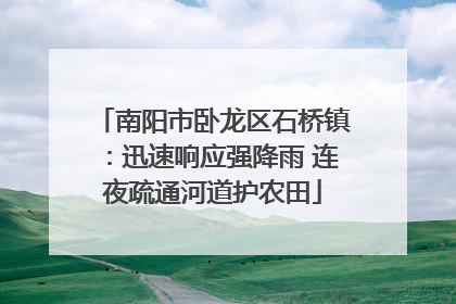 南阳市卧龙区石桥镇：迅速响应强降雨 连夜疏通河道护农田