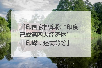 印国家智库称“印度已成第四大经济体”，印媒：还需等等