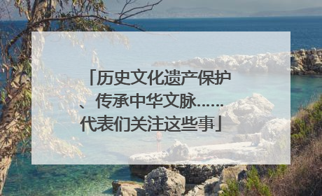 历史文化遗产保护、传承中华文脉……代表们关注这些事