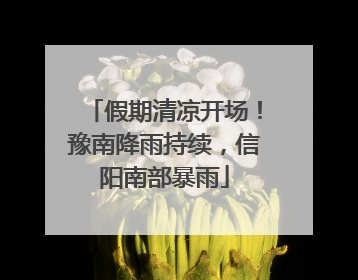 假期清凉开场！豫南降雨持续，信阳南部暴雨