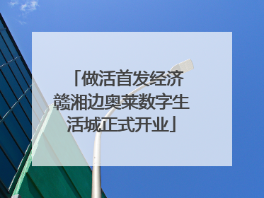 做活首发经济 赣湘边奥莱数字生活城正式开业
