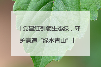 党建红引领生态绿，守护高速“绿水青山”