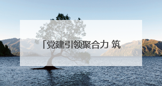 党建引领聚合力 筑牢安全“防火墙”
