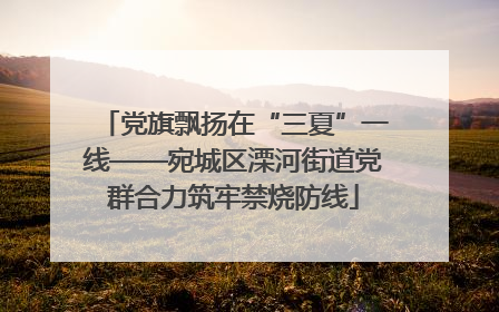 党旗飘扬在“三夏”一线——宛城区溧河街道党群合力筑牢禁烧防线