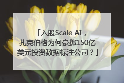 入股Scale AI，扎克伯格为何豪掷150亿美元投资数据标注公司？