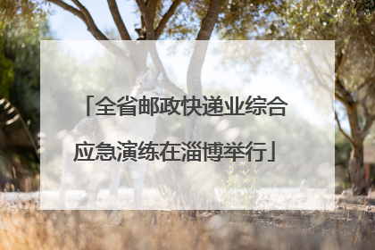 全省邮政快递业综合应急演练在淄博举行