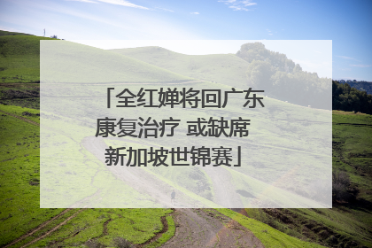 全红婵将回广东康复治疗 或缺席新加坡世锦赛