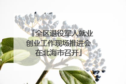 全区退役军人就业创业工作现场推进会在北海市召开