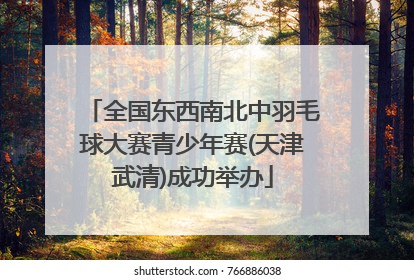 全国东西南北中羽毛球大赛青少年赛(天津武清)成功举办