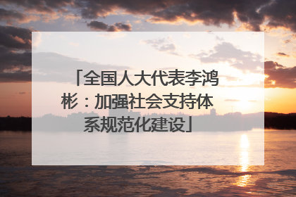 全国人大代表李鸿彬：加强社会支持体系规范化建设