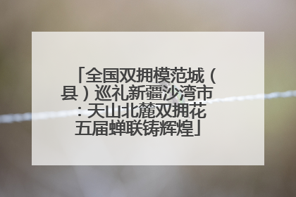 全国双拥模范城（县）巡礼新疆沙湾市：天山北麓双拥花 五届蝉联铸辉煌