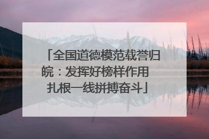 全国道德模范载誉归皖：发挥好榜样作用 扎根一线拼搏奋斗