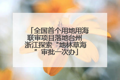 全国首个用地用海联审项目落地台州 浙江探索“地林草海”审批一次办