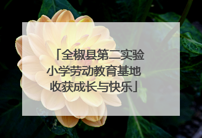 全椒县第二实验小学劳动教育基地收获成长与快乐