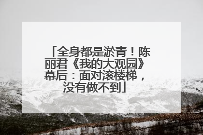 全身都是淤青！陈丽君《我的大观园》幕后：面对滚楼梯，没有做不到