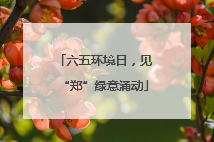 六五环境日，见“郑”绿意涌动