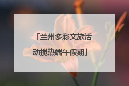 兰州多彩文旅活动搅热端午假期