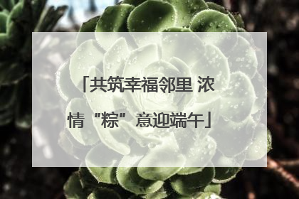 共筑幸福邻里 浓情“粽”意迎端午