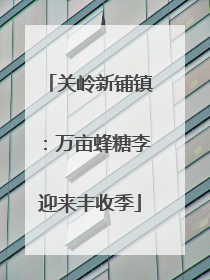关岭新铺镇：万亩蜂糖李迎来丰收季