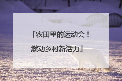 农田里的运动会！燃动乡村新活力