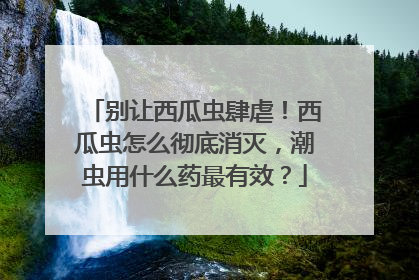 别让西瓜虫肆虐！西瓜虫怎么彻底消灭，潮虫用什么药最有效？