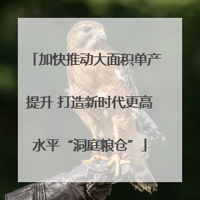 加快推动大面积单产提升 打造新时代更高水平“洞庭粮仓”