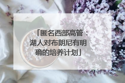 匿名西部高管：湖人对布朗尼有明确的培养计划