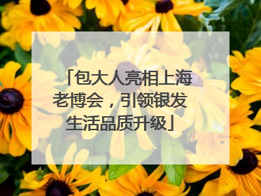 包大人亮相上海老博会，引领银发生活品质升级