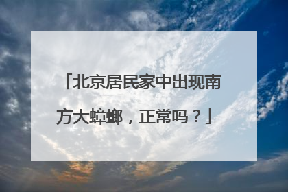 北京居民家中出现南方大蟑螂，正常吗？