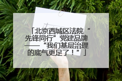 北京西城区法院“先锋同行”党建品牌——“我们基层治理的底气更足了！”