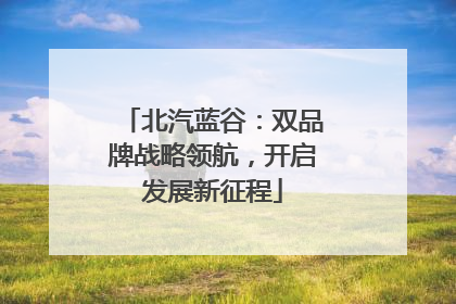 北汽蓝谷：双品牌战略领航，开启发展新征程